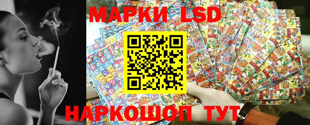 Камышлов  купить наркотики цена  Марки NBOMe 1,5мг  Вход с VPN  Марки NBOMe 1,5мг 
